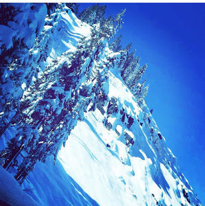 Meet your Posher, Alecia